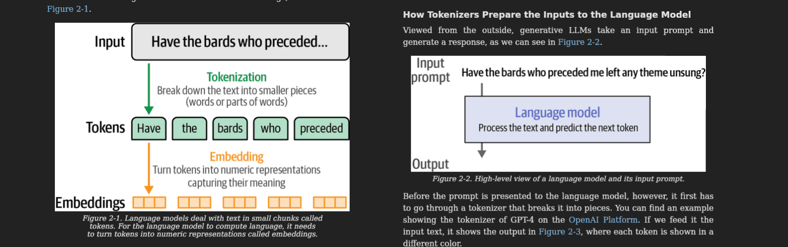 Tokens and embeddings - the chapter that pays for the book